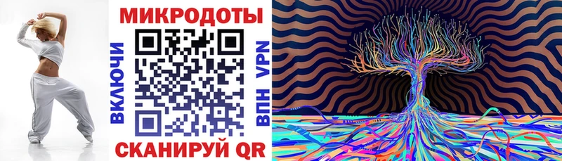 Псилоцибиновые грибы Psilocybe  Калининец 